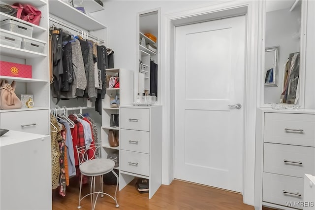 132 Lakefront Blvd Unit 403, Buffalo, NY 14202 - spacious closet with wood finished floors