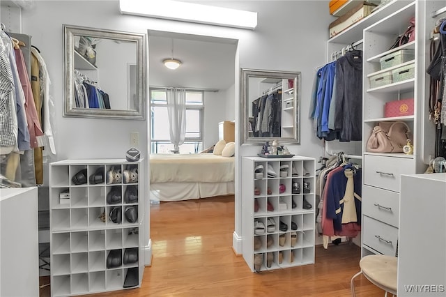 132 Lakefront Blvd Unit 403, Buffalo, NY 14202 - spacious closet featuring wood finished floors