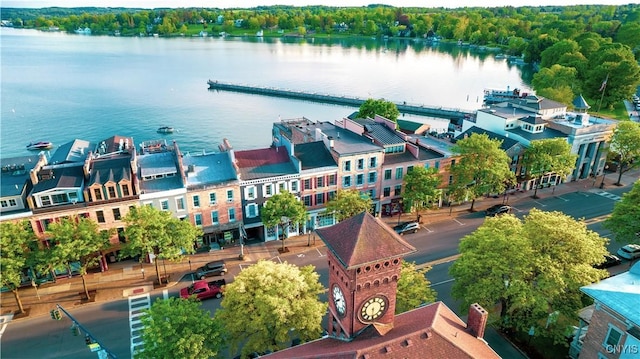 18 E Genesee St Unit 1, Skaneateles, NY 13152 - drone / aerial view of a nearby body of water