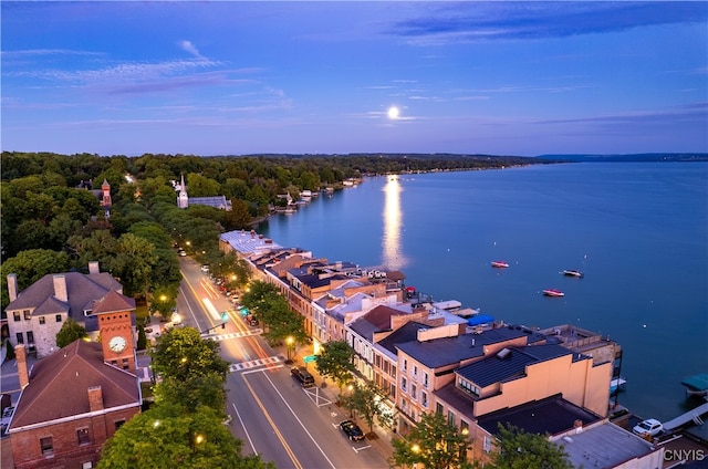 18 E Genesee St Unit 1, Skaneateles, NY 13152 - aerial view of a nearby body of water