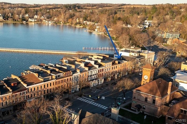 18 E Genesee St Unit 1, Skaneateles, NY 13152 - aerial view of a nearby body of water