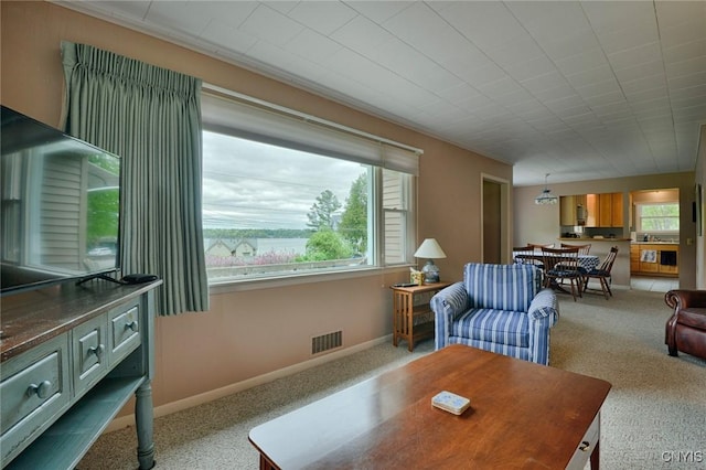 47388 Dingman Point Rd, Alexandria, NY 13607 - carpeted living room featuring baseboards