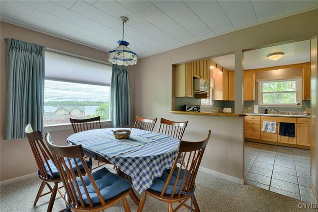 47388 Dingman Point Rd, Alexandria, NY 13607 - dining room with light carpet and baseboards