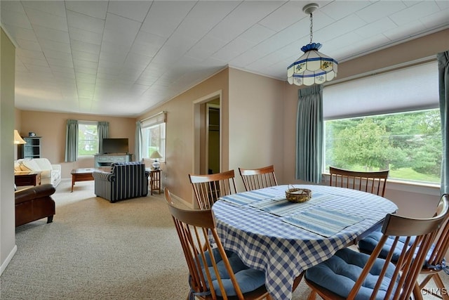 47388 Dingman Point Rd, Alexandria, NY 13607 - dining room with carpet flooring and baseboards