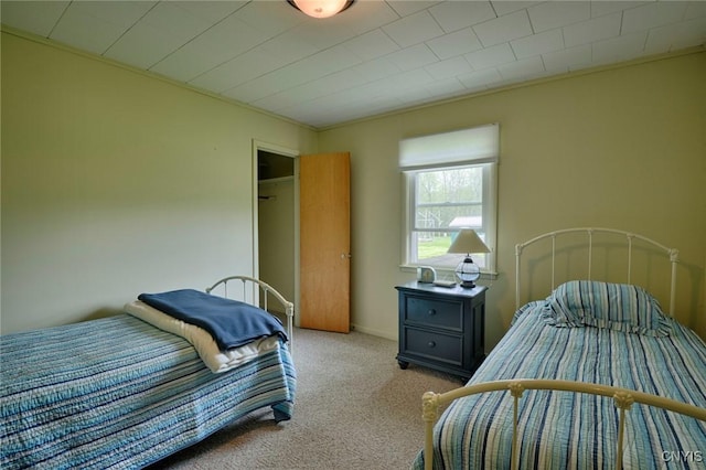 47388 Dingman Point Rd, Alexandria, NY 13607 - view of carpeted bedroom