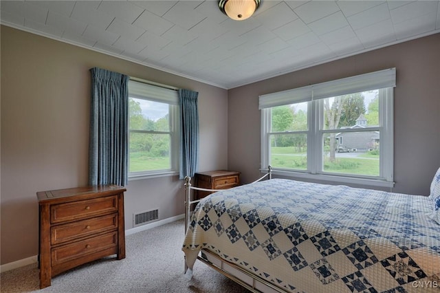 47388 Dingman Point Rd, Alexandria, NY 13607 - carpeted bedroom featuring multiple windows, crown molding, and baseboards