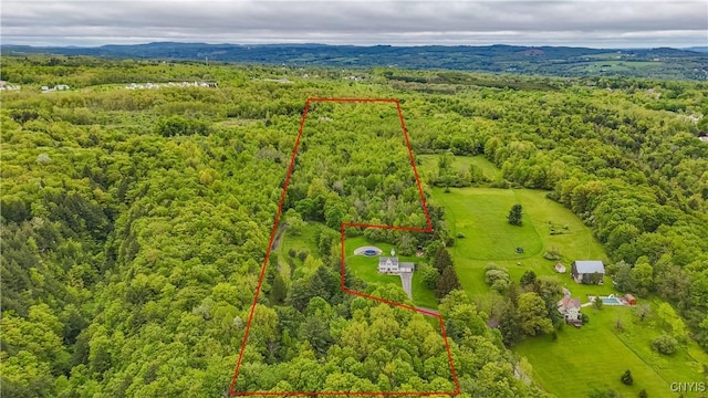 58 Cascade Dr, New Hartford, NY 13413 - photo 4