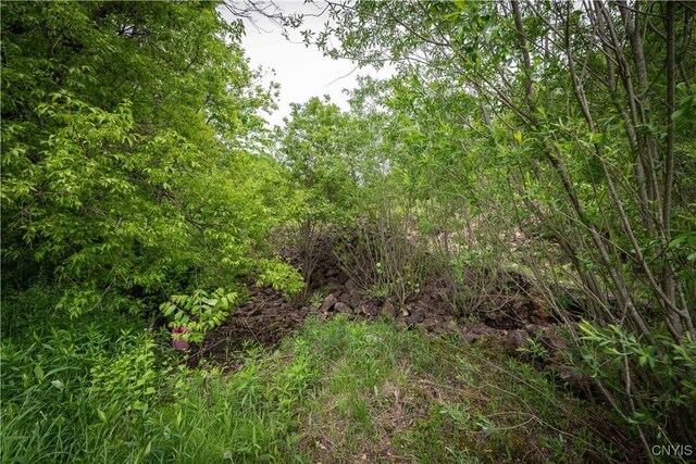 3146 State Route 169, Fairfield, NY 13365 - photo 38