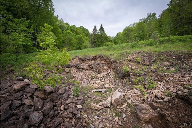 3146 State Route 169, Fairfield, NY 13365 - photo 40