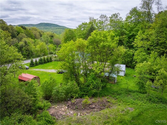 3146 State Route 169, Fairfield, NY 13365 - photo 42