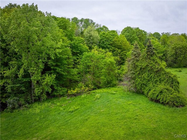 3146 State Route 169, Fairfield, NY 13365 - photo 48