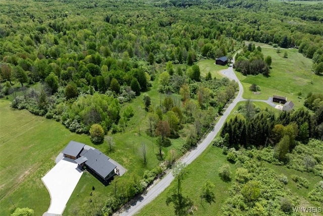 7317 Concord Rd, Concord, NY 14141 - aerial view of a heavily wooded area