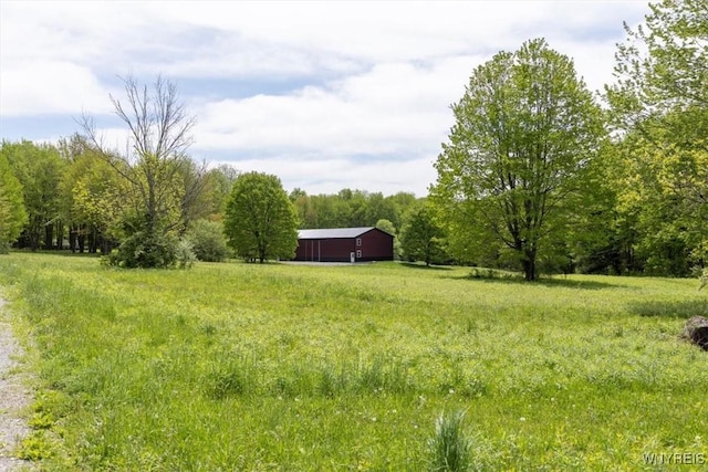 7317 Concord Rd, Concord, NY 14141 - view of yard with an outdoor structure, a view of rural / pastoral area, a pole building, and a forest view