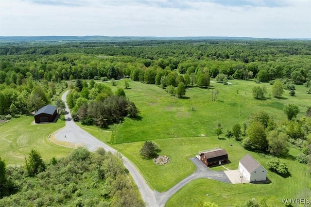 7317 Concord Rd, Concord, NY 14141 - drone / aerial view of a forest