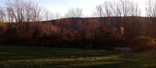1058 County Highway 44, Sidney, NY 13775 - mountain view