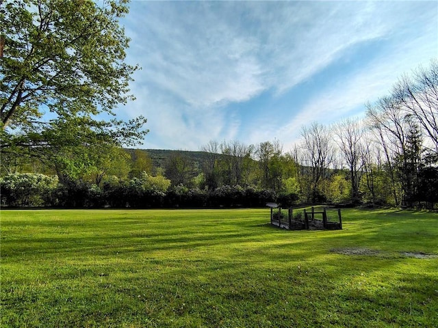 1058 County Highway 44, Sidney, NY 13775 - view of property's community featuring a lawn