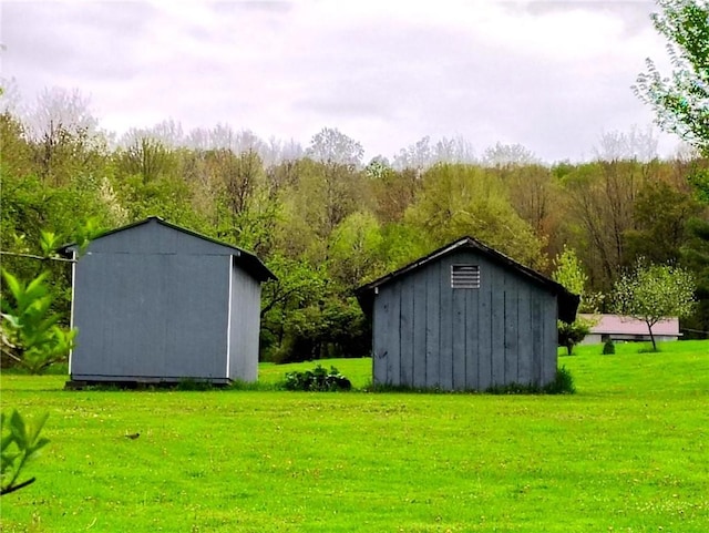 1058 County Highway 44, Sidney, NY 13775 - view of shed featuring a view of trees
