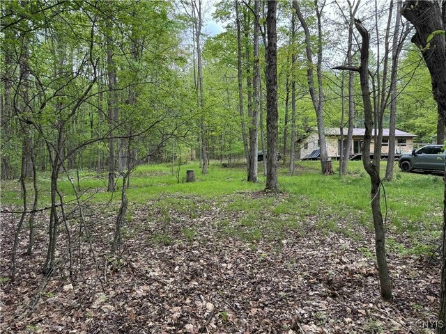 3211 Rte 305 Unit 5, Clarksville, NY 14727