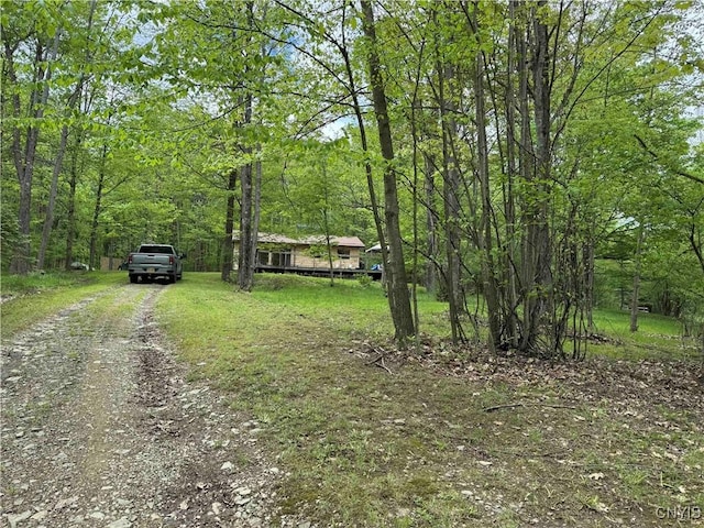3211 Rte 305 Unit 5, Clarksville, NY 14727