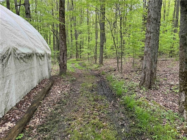 3211 Rte 305 Unit 5, Clarksville, NY 14727