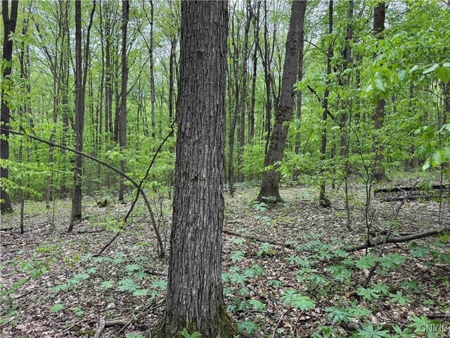 3211 Rte 305 Unit 5, Clarksville, NY 14727