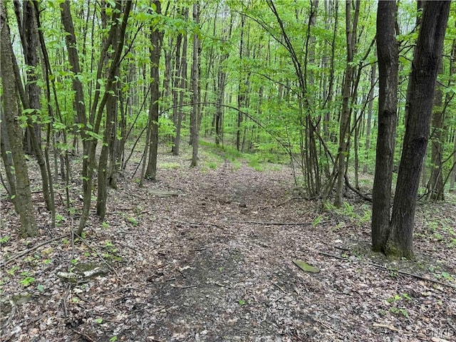 3211 Rte 305 Unit 5, Clarksville, NY 14727