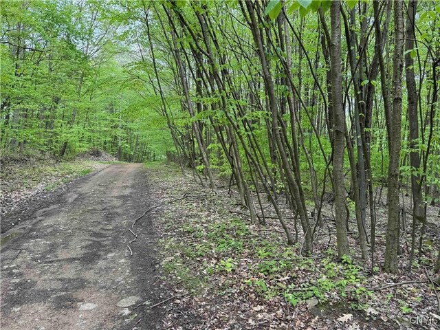 3211 Rte 305 Unit 5, Clarksville, NY 14727