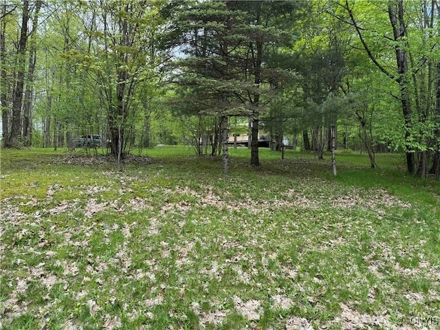 3211 Rte 305 Unit 5, Clarksville, NY 14727