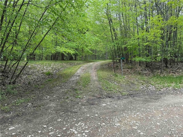 3211 Rte 305 Unit 5, Clarksville, NY 14727