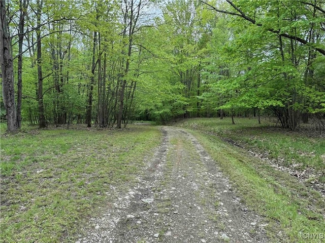 3211 Rte 305 Unit 5, Clarksville, NY 14727