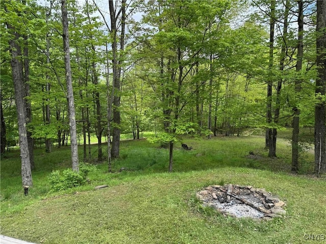 3211 Rte 305 Unit 5, Clarksville, NY 14727
