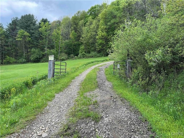 3211 Rte 305 Unit 5, Clarksville, NY 14727