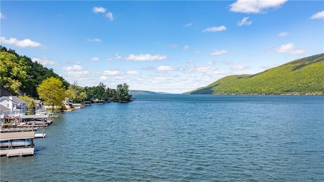 7081 Rte 21, South Bristol, NY 14512 - photo 4