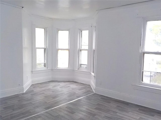 94 Locust St, Rochester, NY 14613 - spare room featuring wood finished floors and baseboards