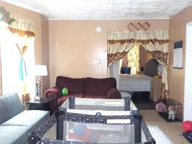 94 Locust St, Rochester, NY 14613 - living room featuring healthy amount of natural light
