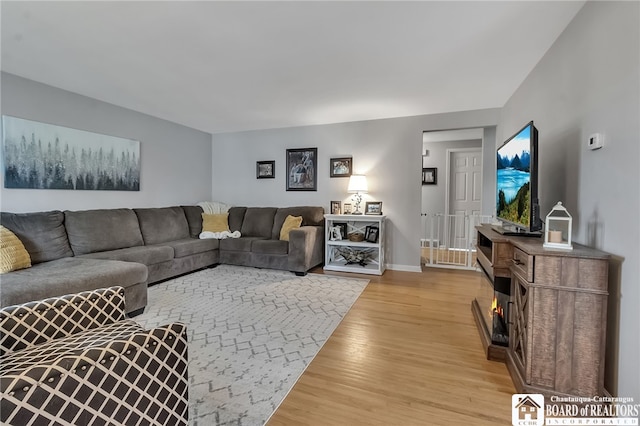 62 Thistle Ave, Tonawanda-Town, NY 14150 - living area featuring light wood-type flooring, a lit fireplace, and baseboards