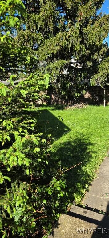 323 Portage Rd, Niagara Falls, NY 14303 - view of yard