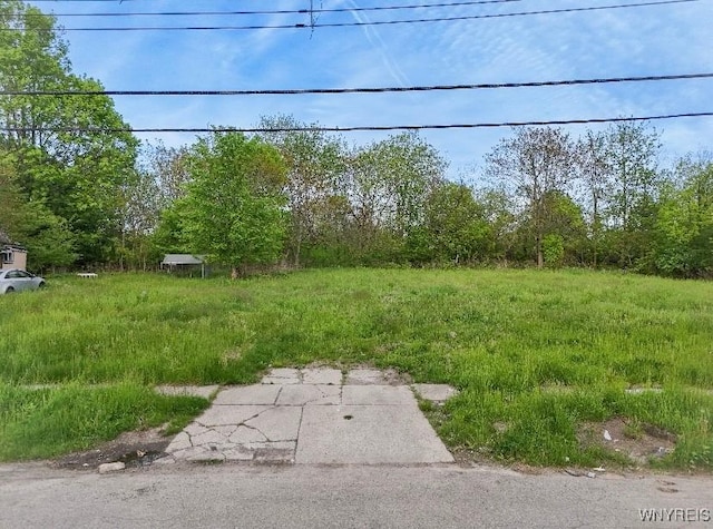 19 Oberlin Ave, Buffalo, NY 14211 - photo 1
