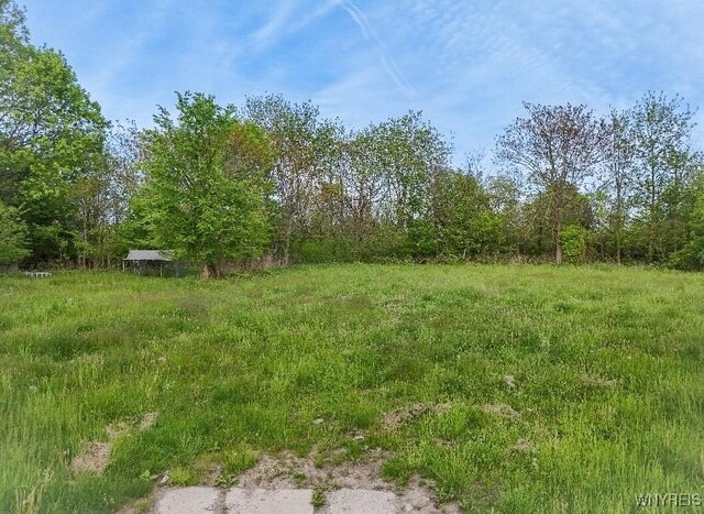 19 Oberlin Ave, Buffalo, NY 14211 - photo 3