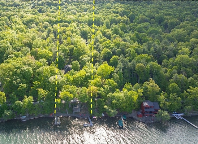 5889 W Bluff Dr, Jerusalem, NY 14478 - aerial overview of property's location with property boundaries highlighted and a large body of water