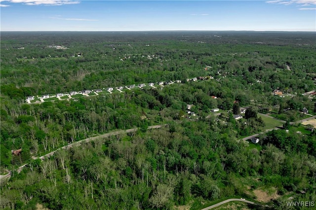6950 E Canal Rd, Pendleton, NY 14094