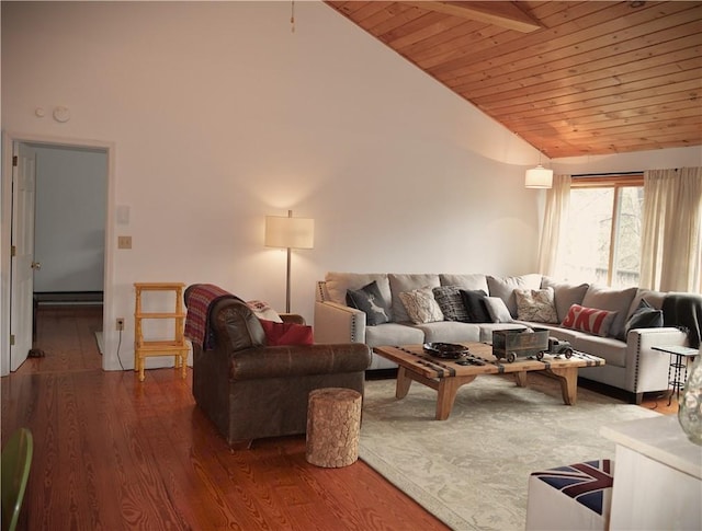 100 Clear Springs Ln, Middletown, NY 12430 - living room with wood finished floors, wood ceiling, and high vaulted ceiling