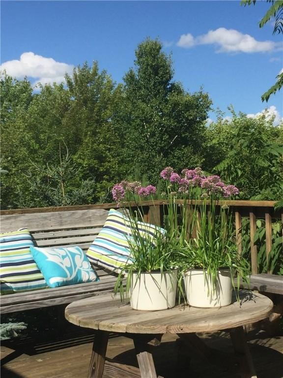 100 Clear Springs Ln, Middletown, NY 12430 - view of wooden deck