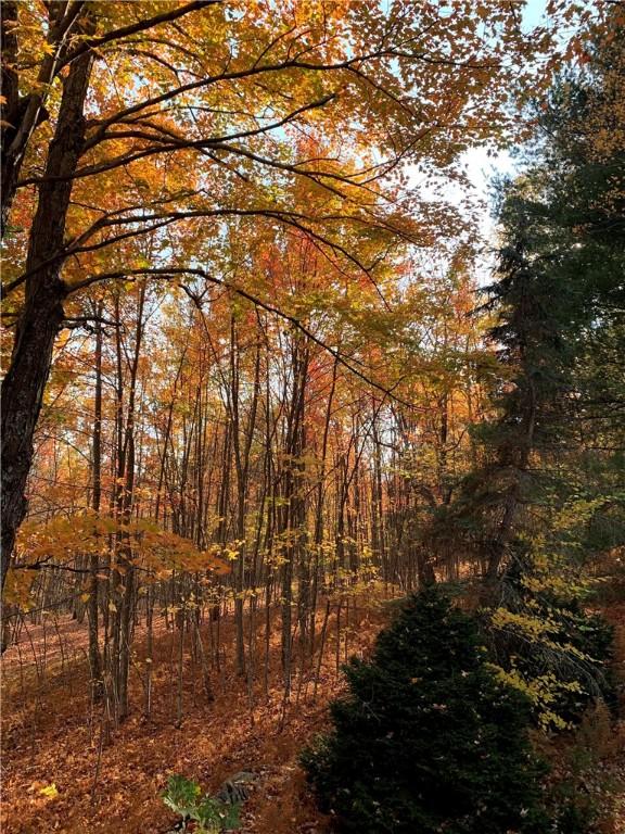 100 Clear Springs Ln, Middletown, NY 12430 - view of wooded area