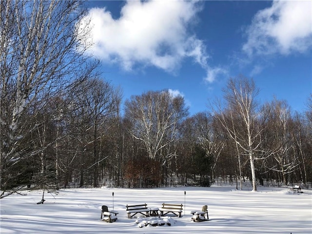 100 Clear Springs Ln, Middletown, NY 12430 - view of surrounding community