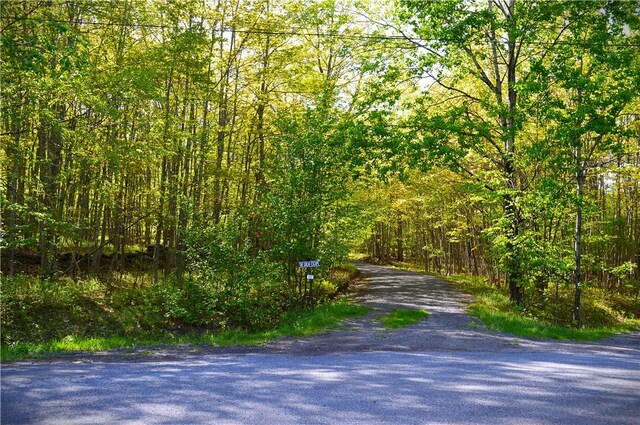 100 Clear Springs Ln, Middletown, NY 12430 - view of street with a view of trees