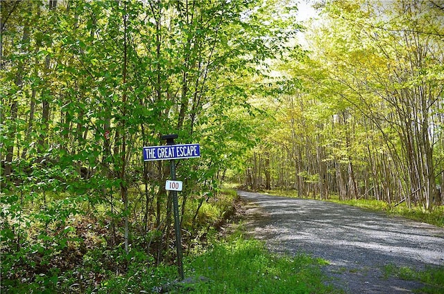 100 Clear Springs Ln, Middletown, NY 12430 - view of dirt / gravel road with a wooded view