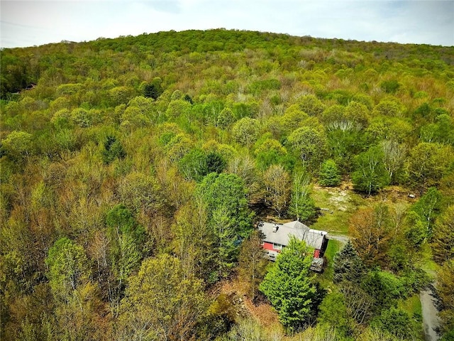 100 Clear Springs Ln, Middletown, NY 12430 - view of subject property featuring a heavily wooded area