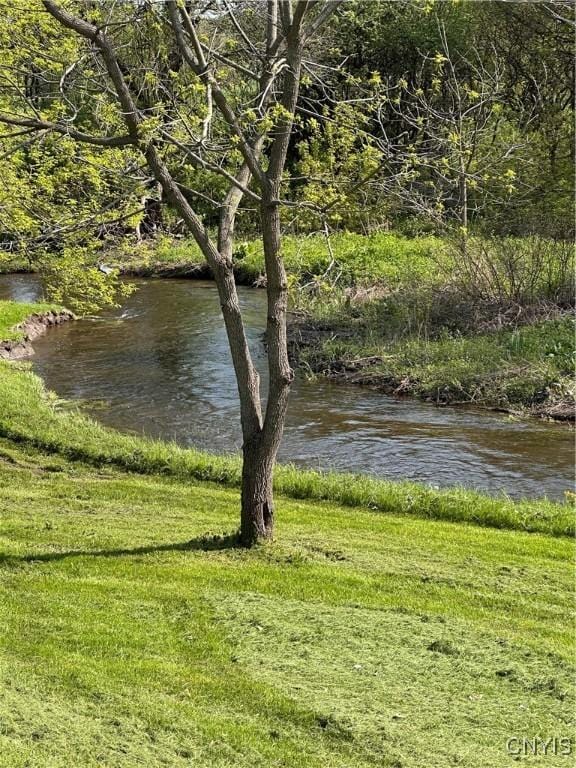61 W Main St, Eaton, NY 13408 - water view