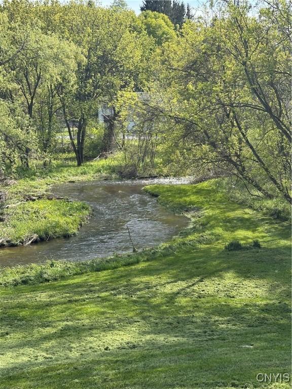 61 W Main St, Eaton, NY 13408 - water view